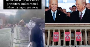 Itâs not just Trump âÂ Biden found major civil-rights problems with Harvard too
